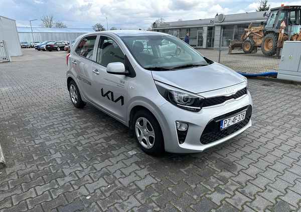 Kia Picanto cena 65900 przebieg: 1300, rok produkcji 2023 z Środa Wielkopolska małe 562